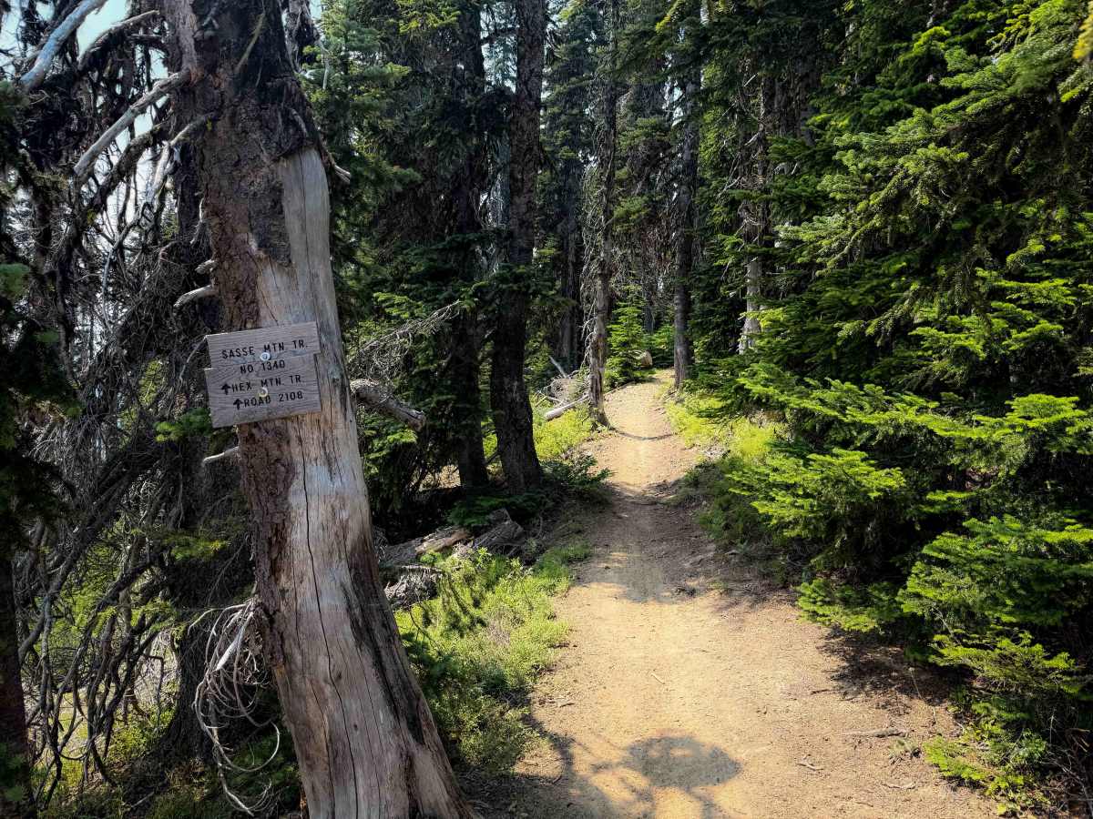 Sasse Mountain (Upper) 1340   trail photo