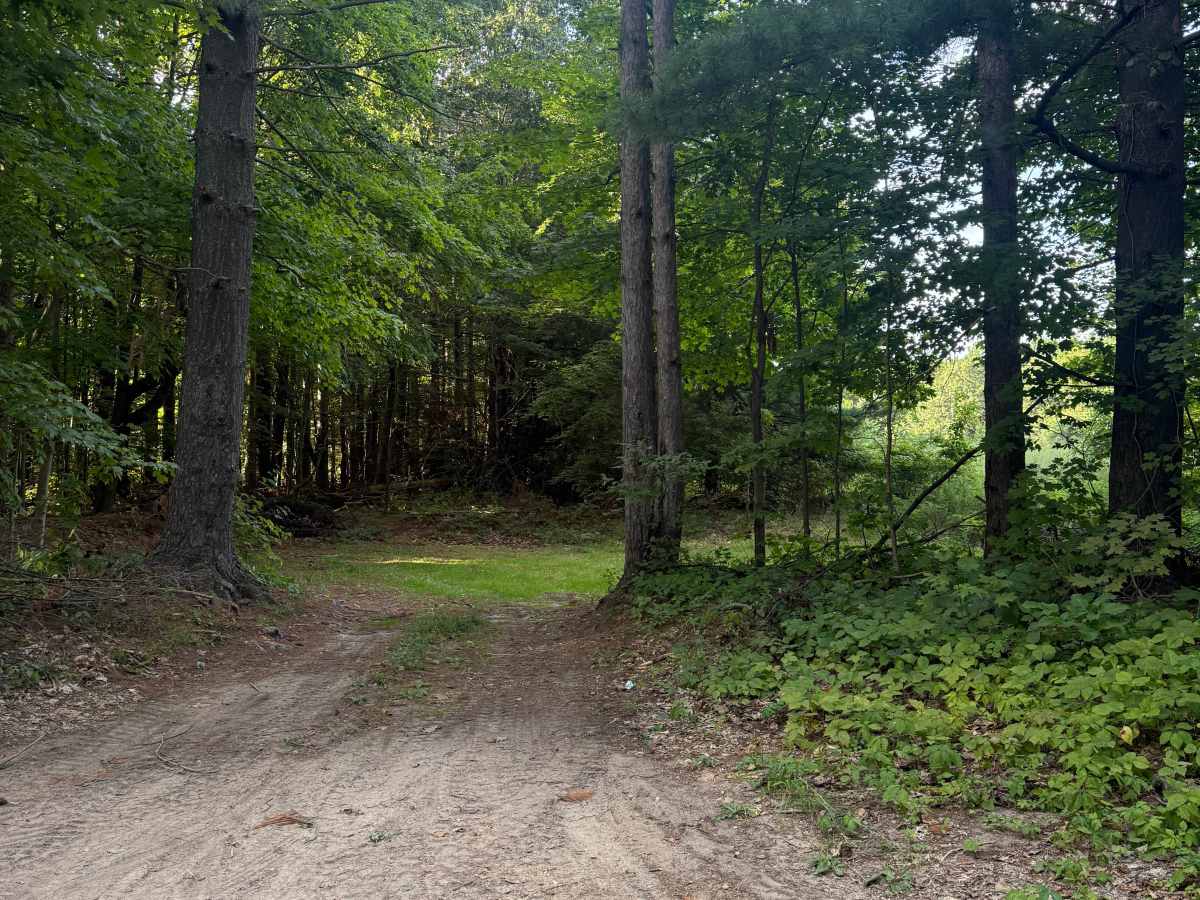 Spears Trail photo 6