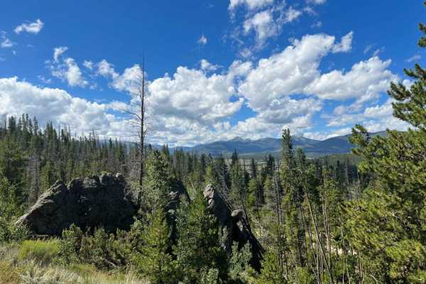 Strawberry BLM Road #2751