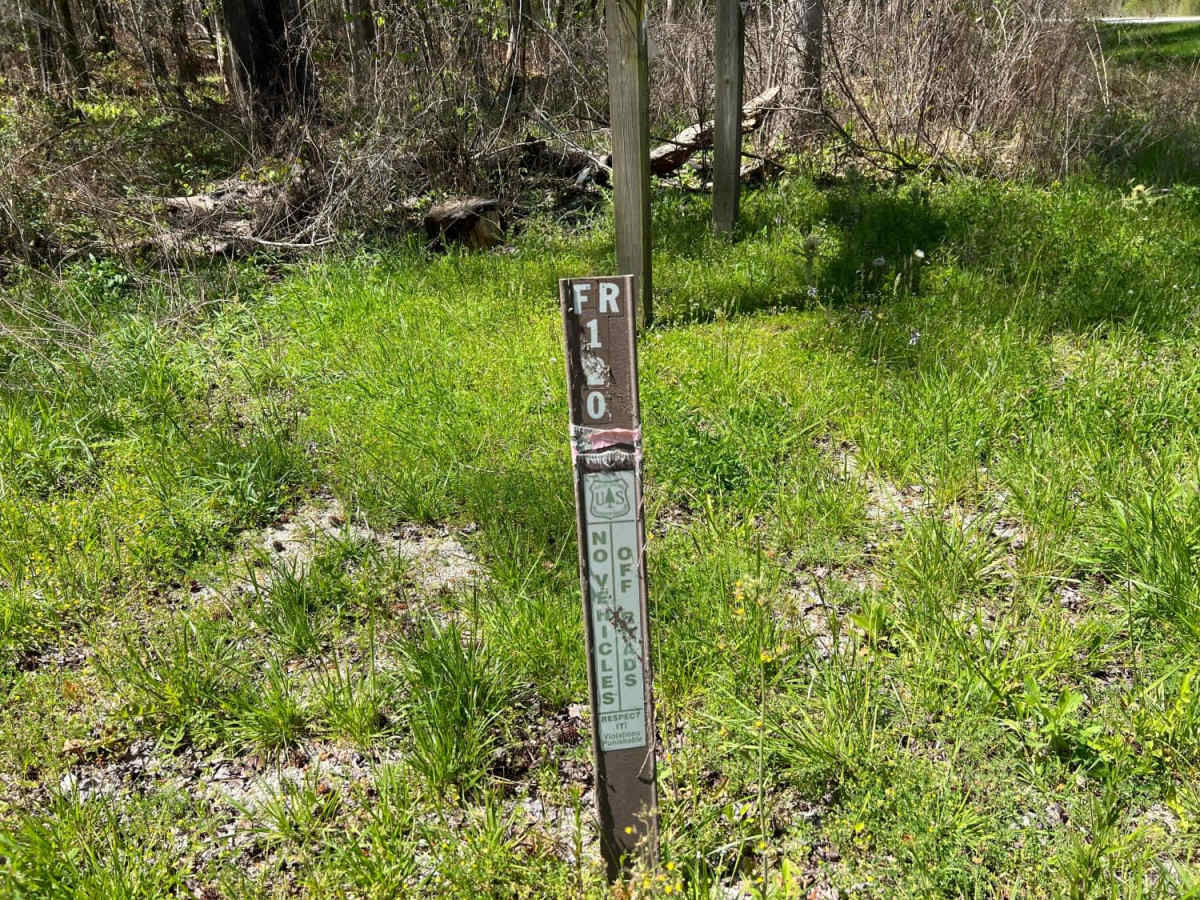 Long Point photo 6
