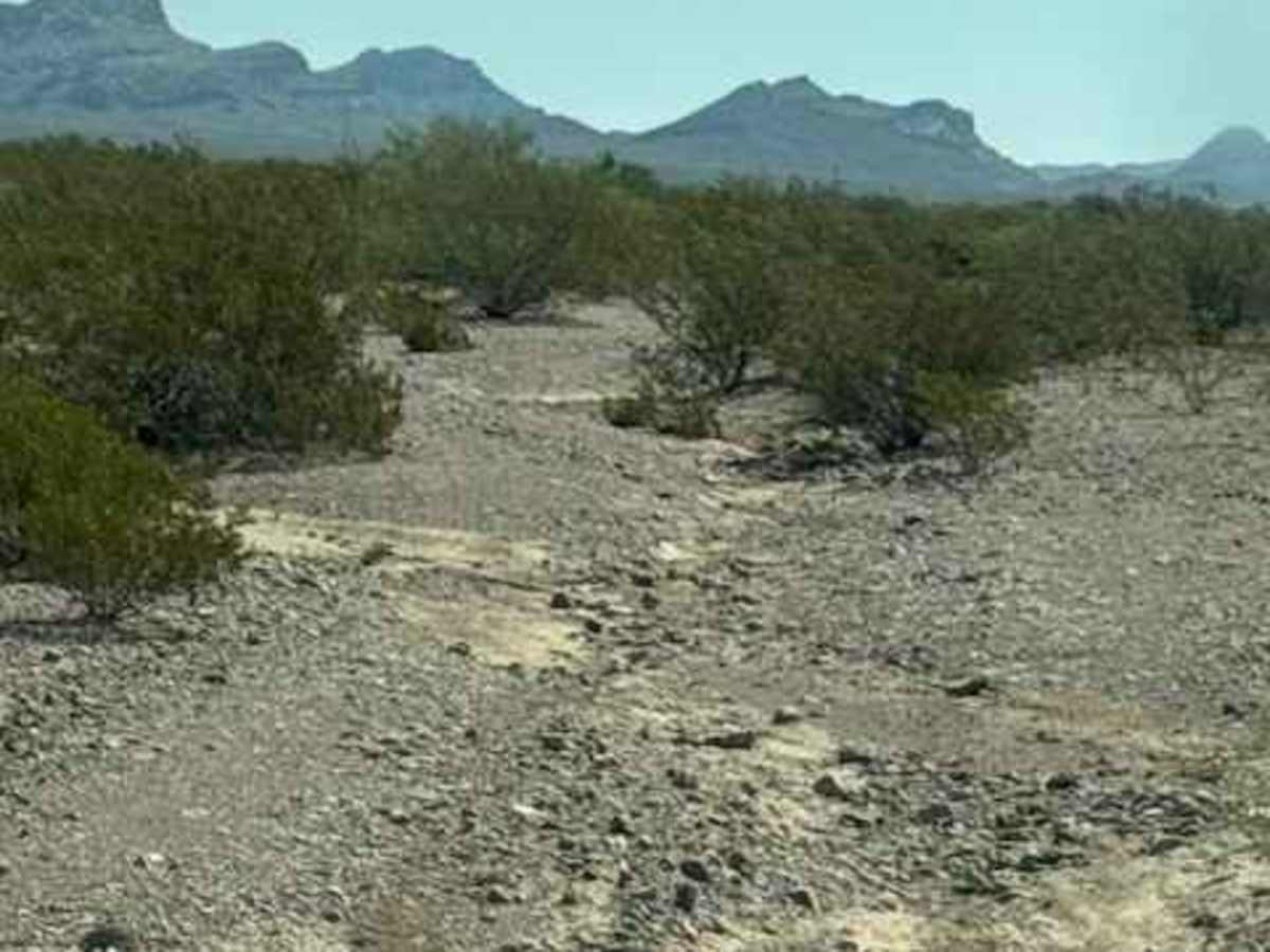 SS1149 photo 2