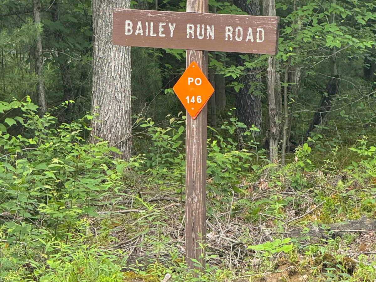 Bailey Run Road trail photo