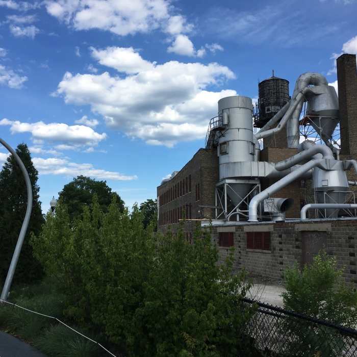 Near The 606 (Bloomingdale Trail)