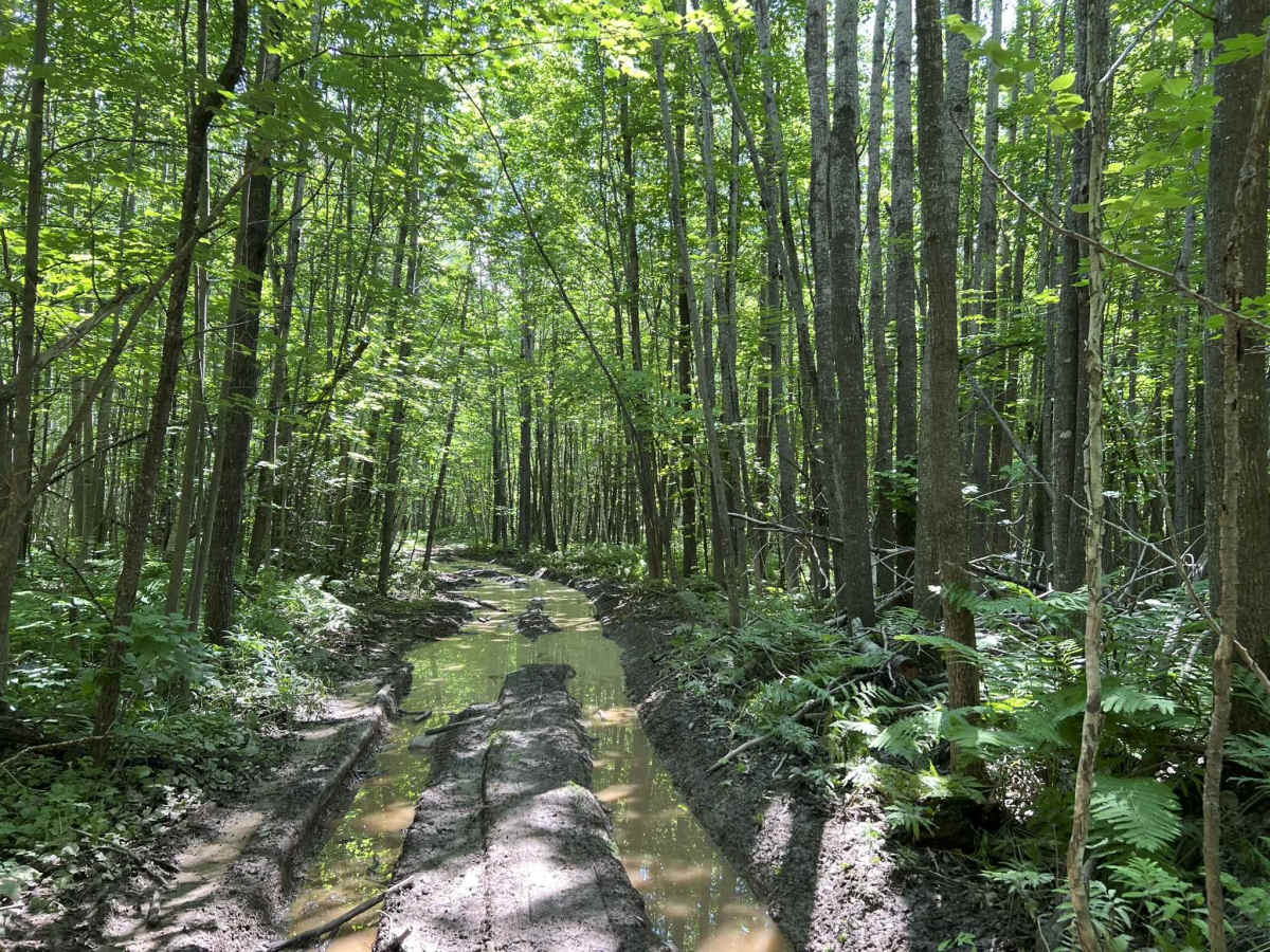 Forest County ATV/ SXS 8 Mile Loop Trail 4 photo 2
