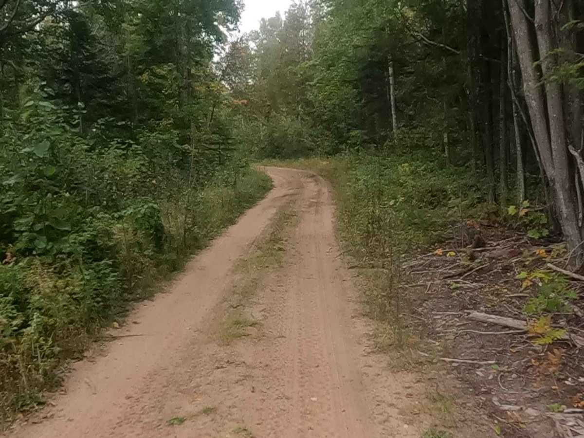 Strickler Truck Road photo 3