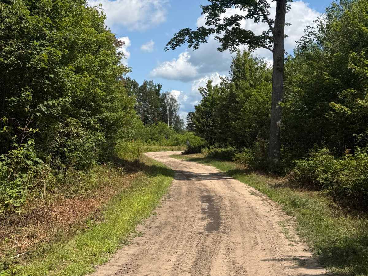North Deer Trail trail photo