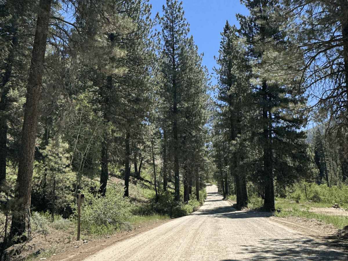 South Fork River Road photo 4