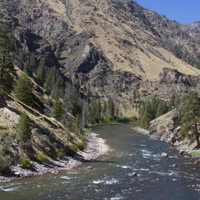 Near Middle Fork of the Salmon River Trail a Day 6