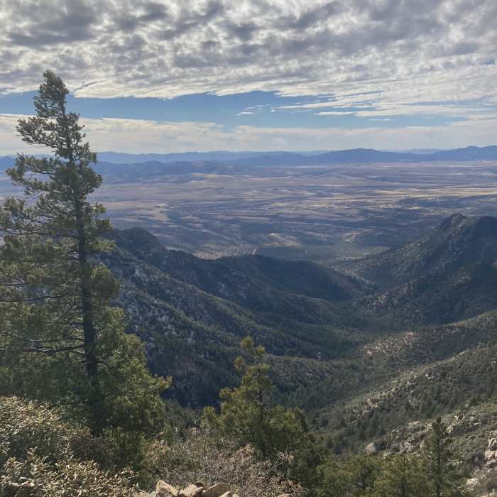 Looking west, almost to junction. Near Arizona Trail Passage 1: Huachuca Mountains