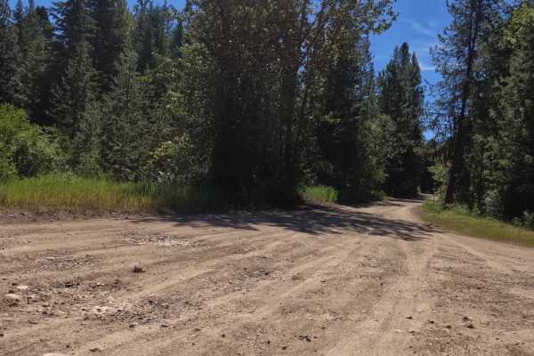 South Fish Creek - FS 343