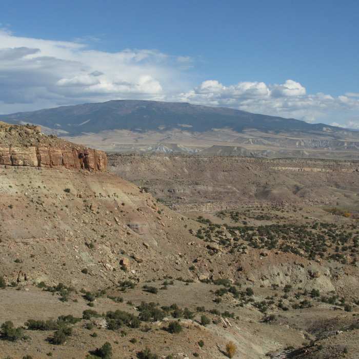 Near McCarty Trail