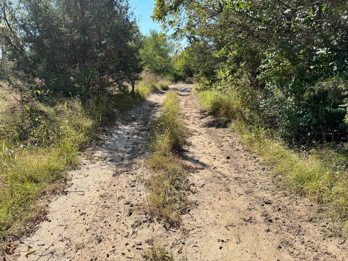 Mud Flap Meadow photo 6
