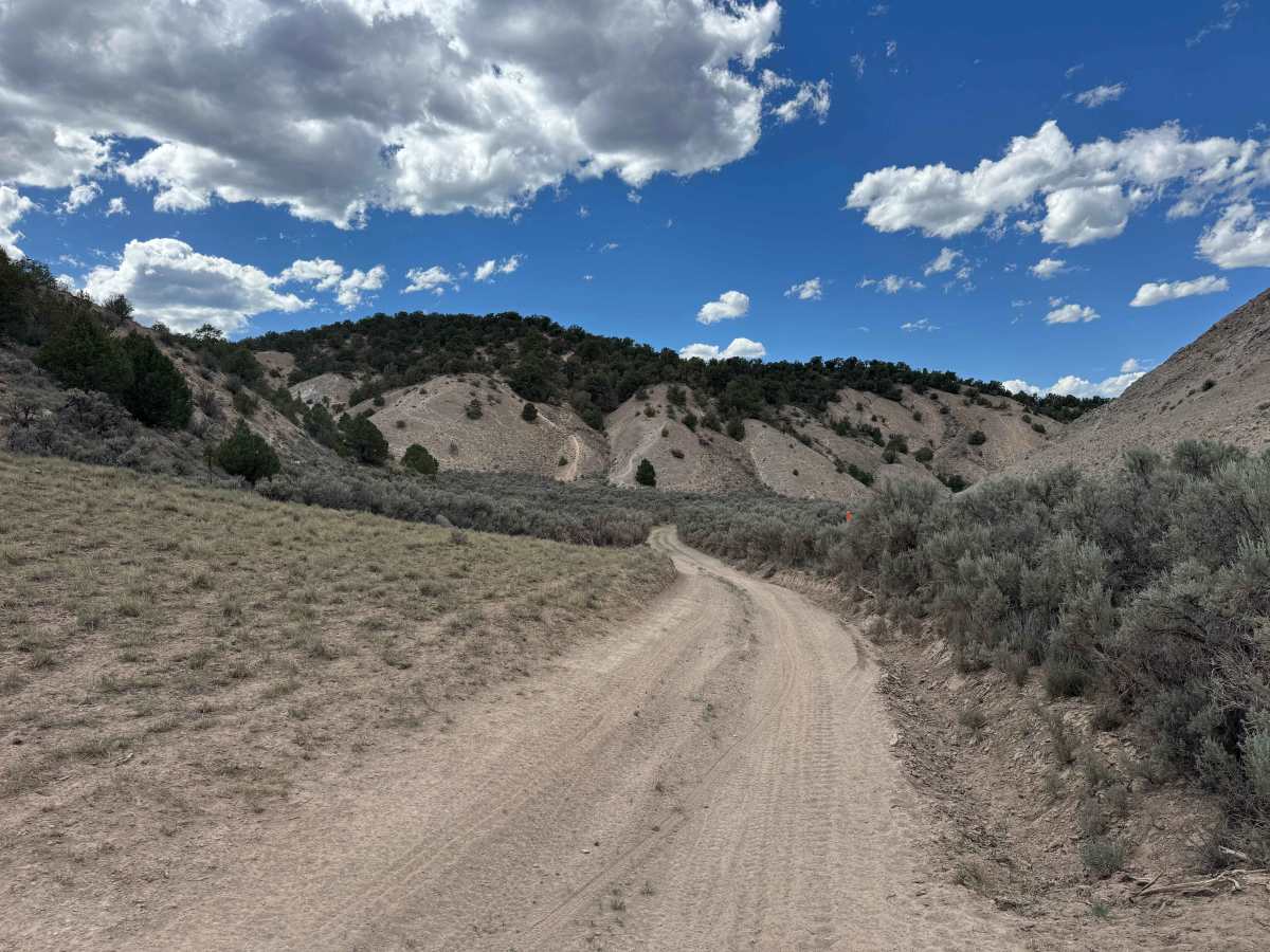 BLM 8461 photo 4