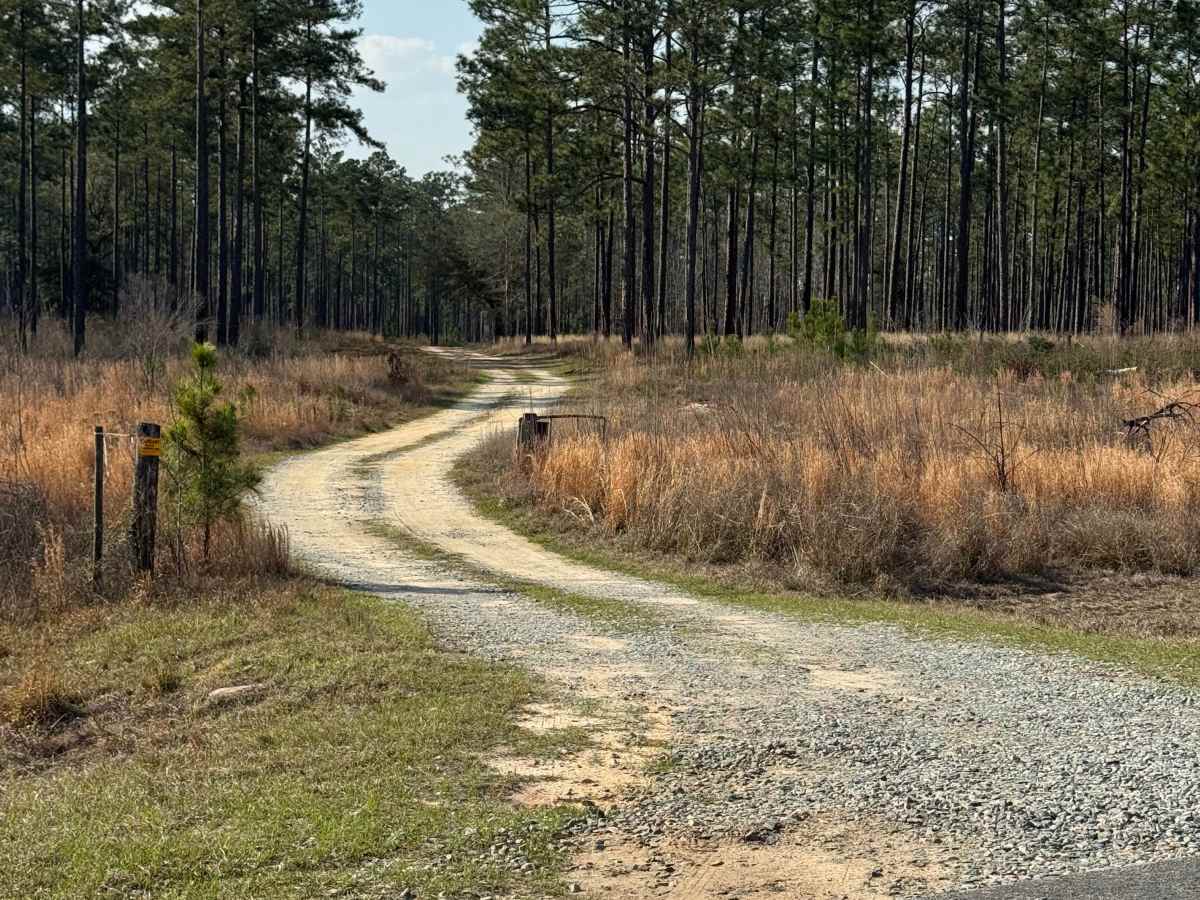 Frog Pond Road trail photo