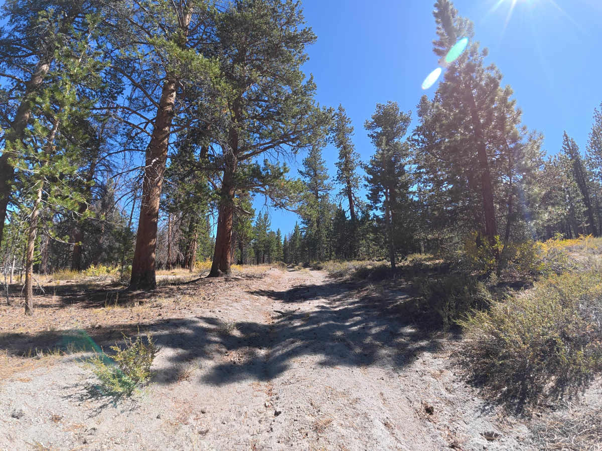Ol' Cease Spur photo 6