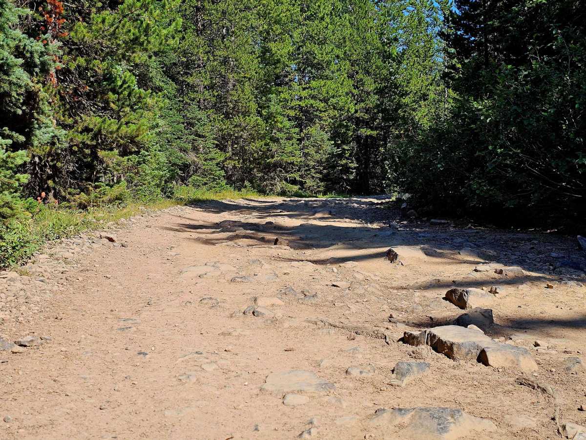 Big Bear Lake Road photo 3