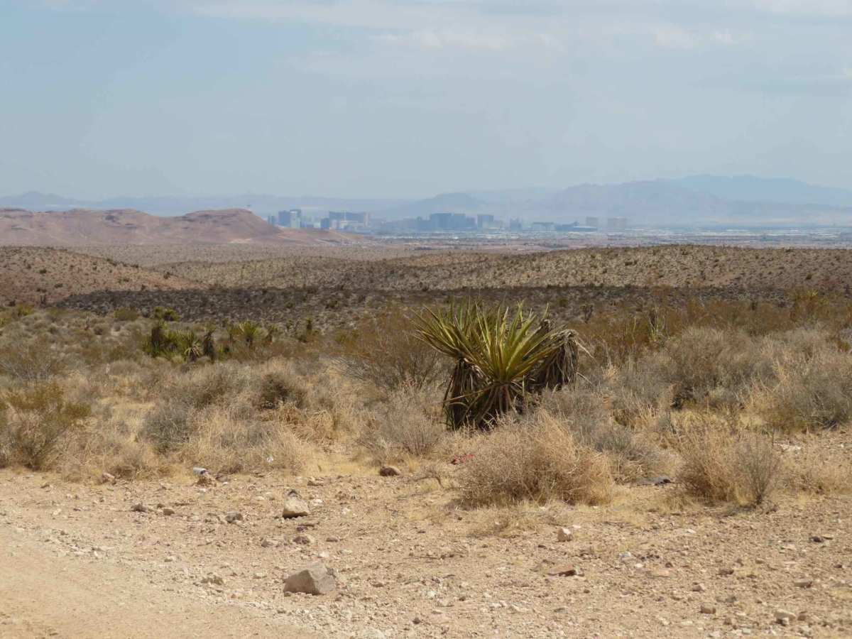 Wilson Trail Wash photo 3
