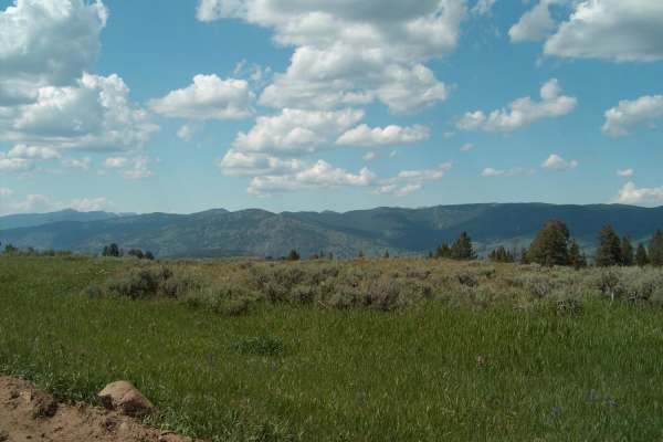 Blacktail Plateau
