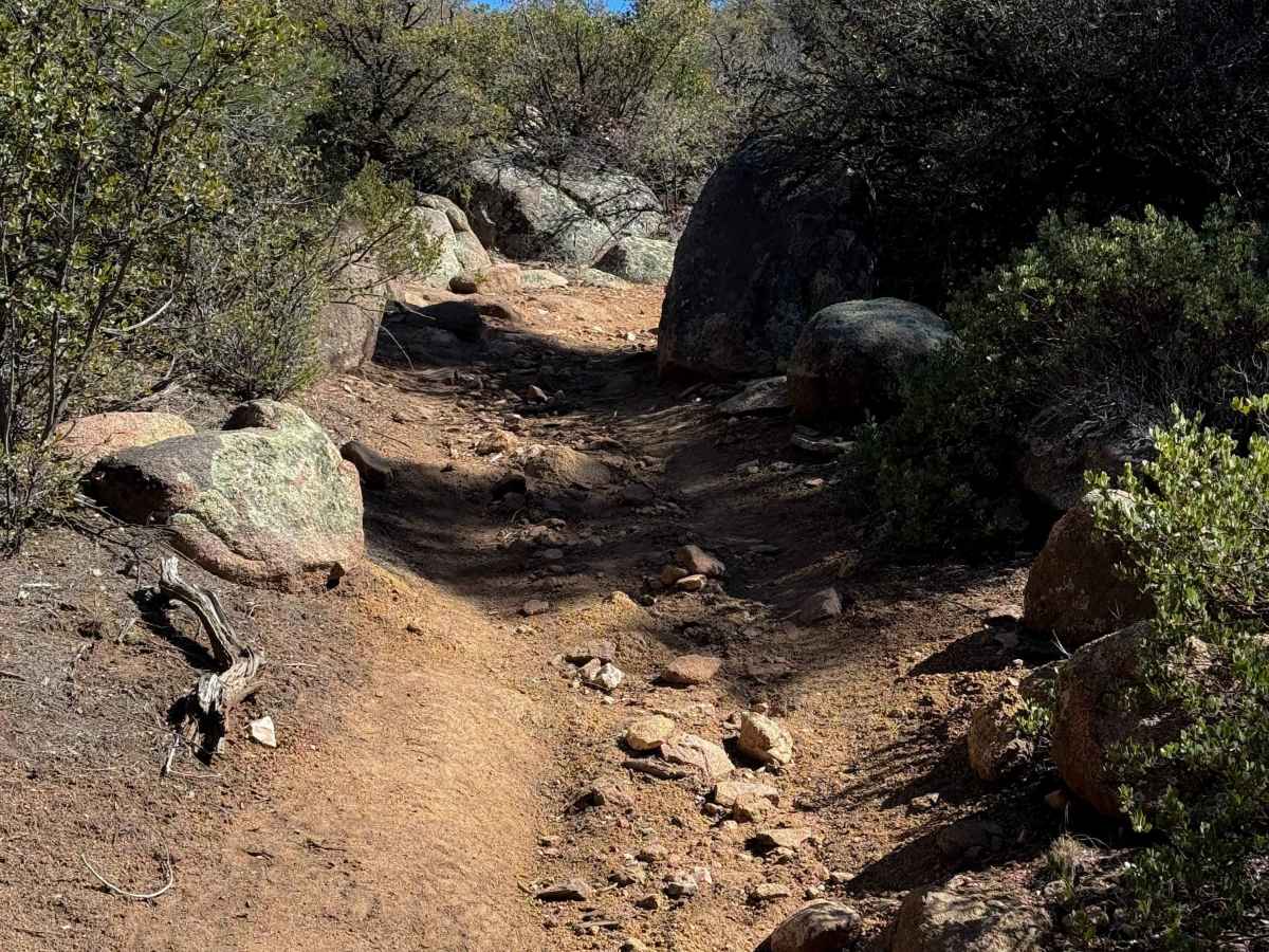 Anderson #55  trail photo