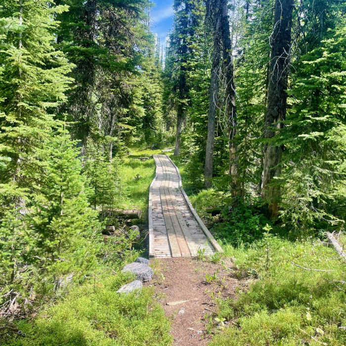 Near Continental Divide Trail: Montana-Idaho Section 1