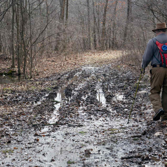Near Woodland Way Trail Near Woodland Way Trail