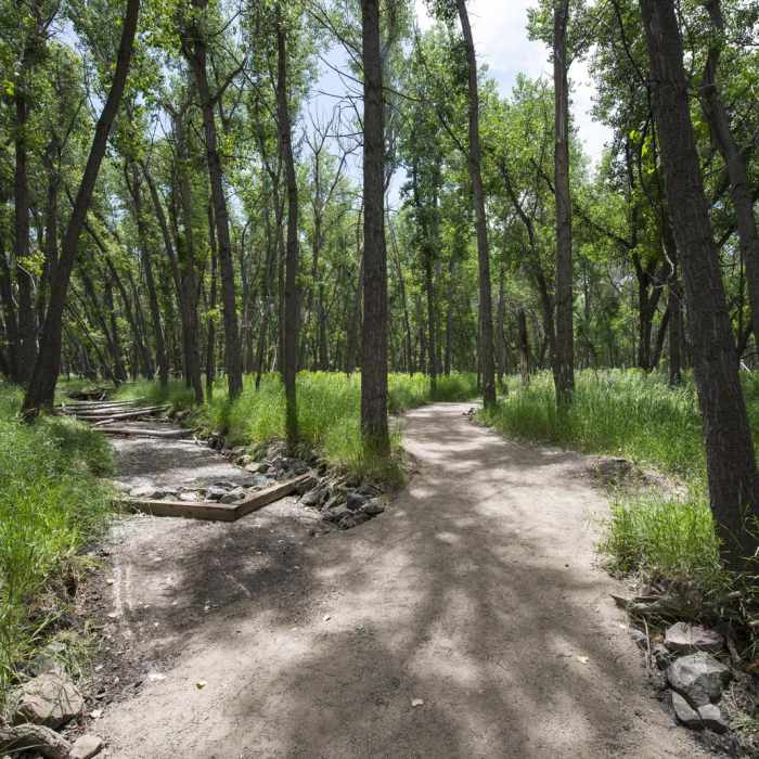 Near Wetland Loop Trail Hike