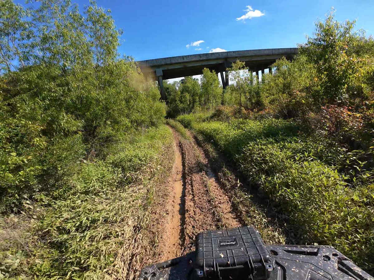 Anaconda Loop photo 6