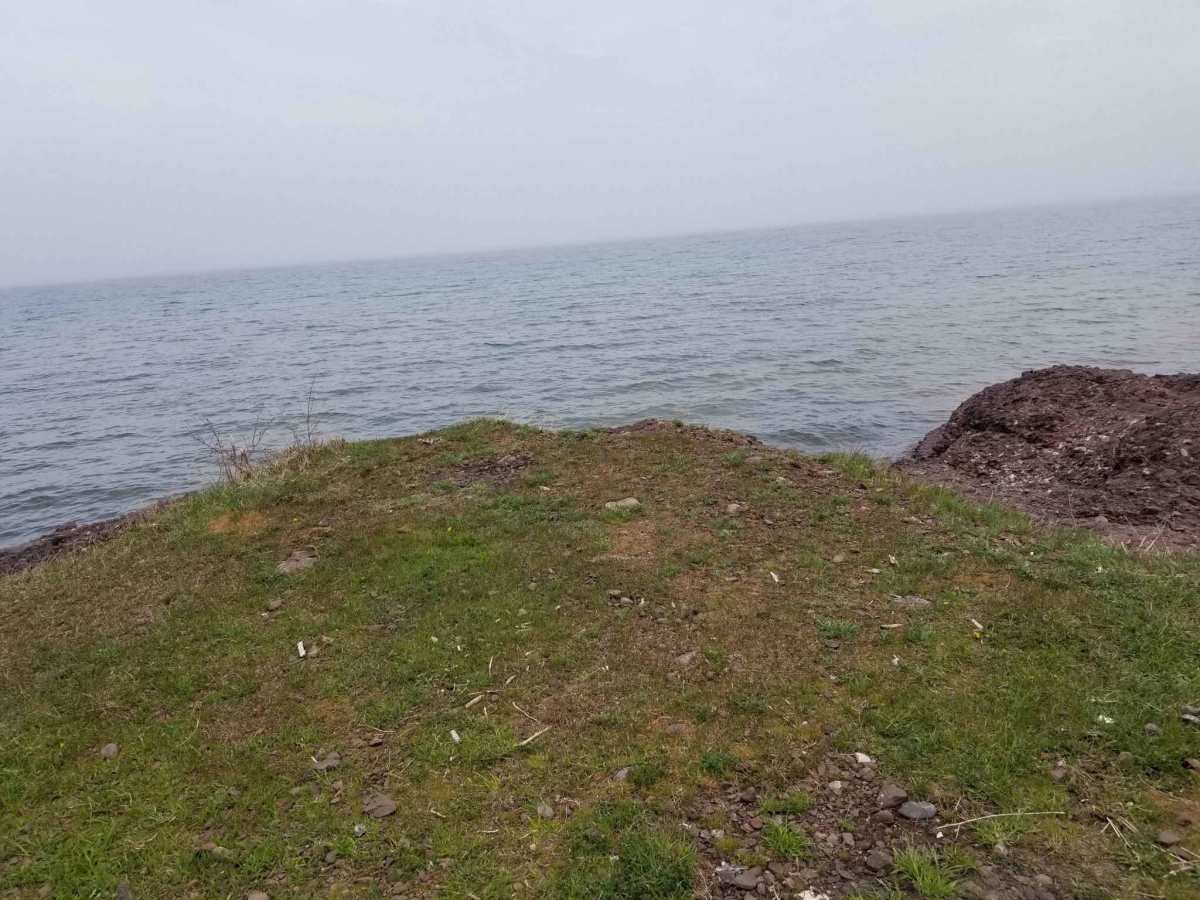 Seven Hour Plane Crash Trail trail photo