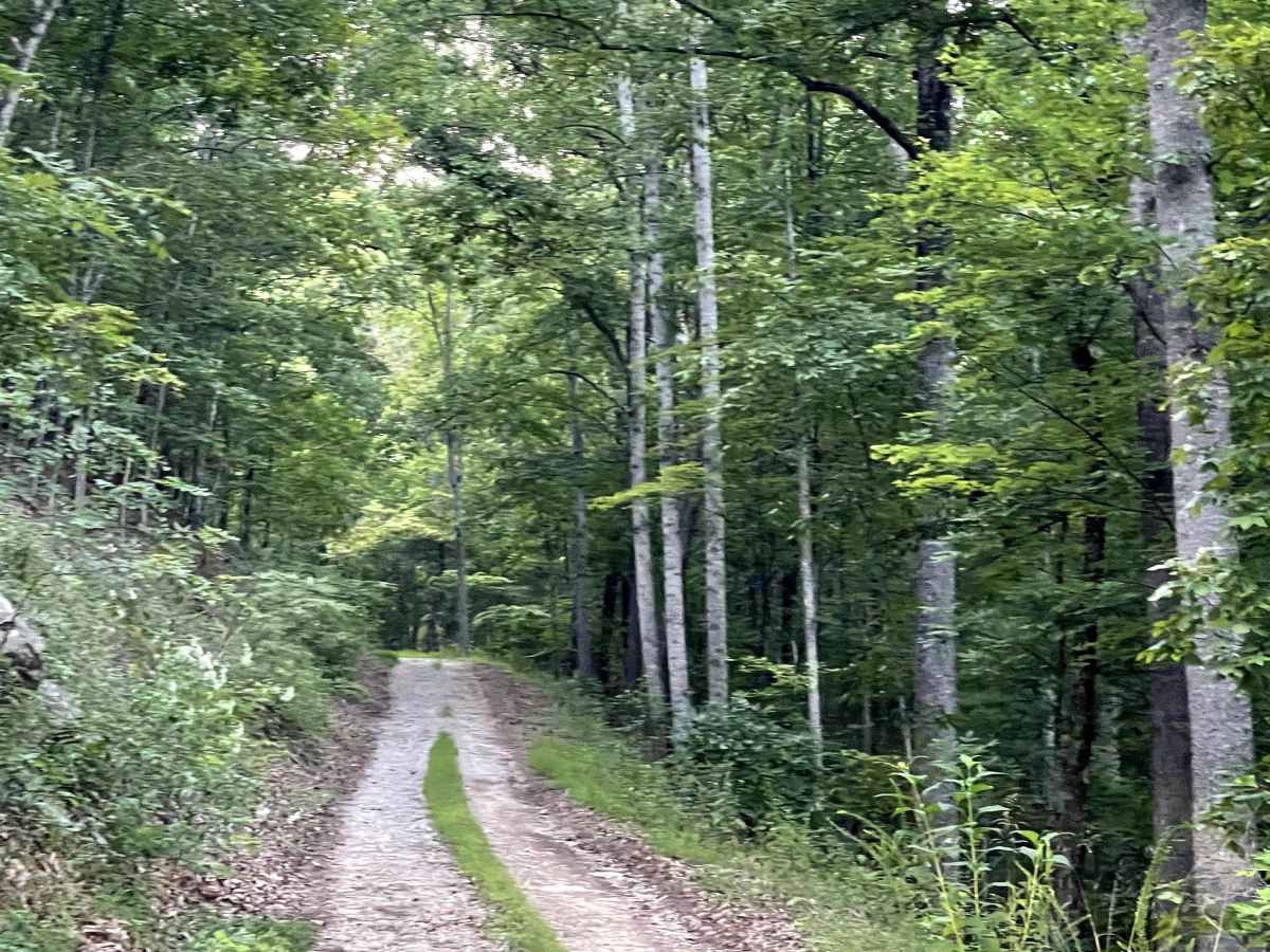 Kelley Hollow photo 3