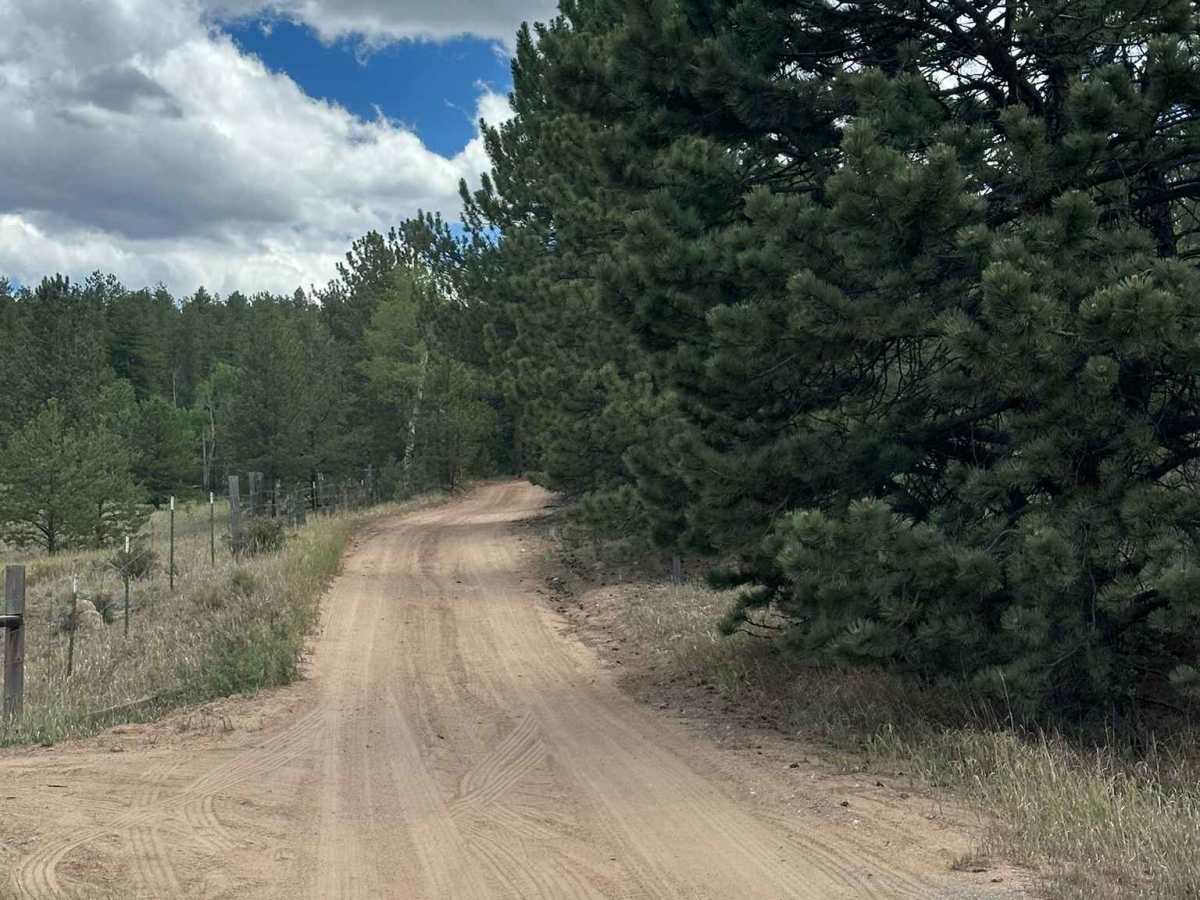 Original Road trail photo