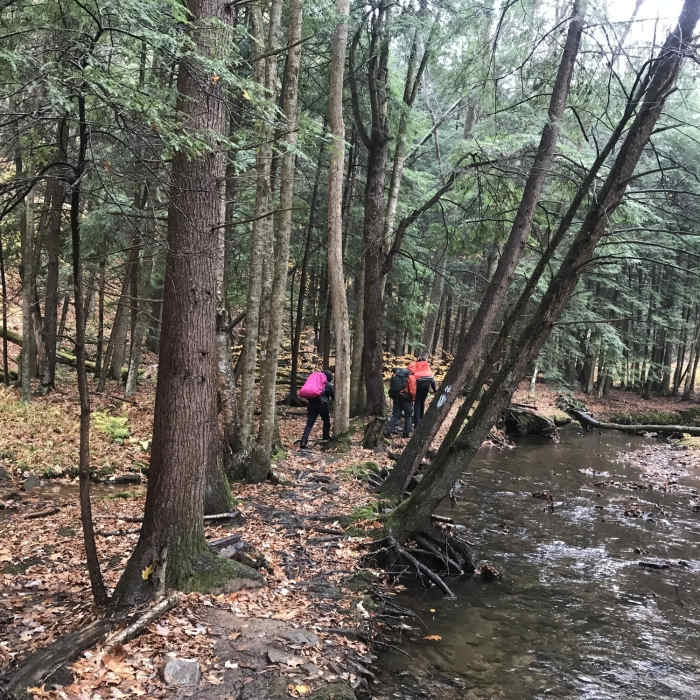 Near Morrison and Rimrock Trails