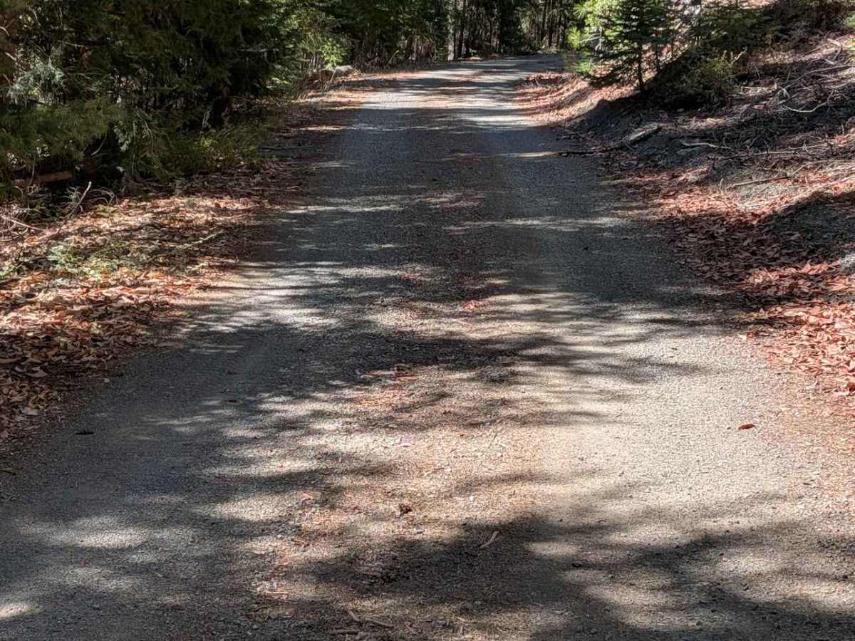 Hall City Creek Road - FS 29N07  photo 2