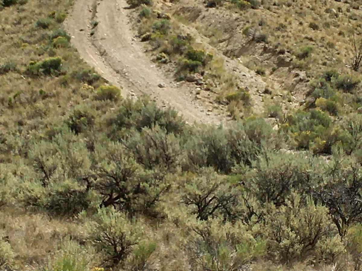 BLM 1837 / FS 70107 photo 3