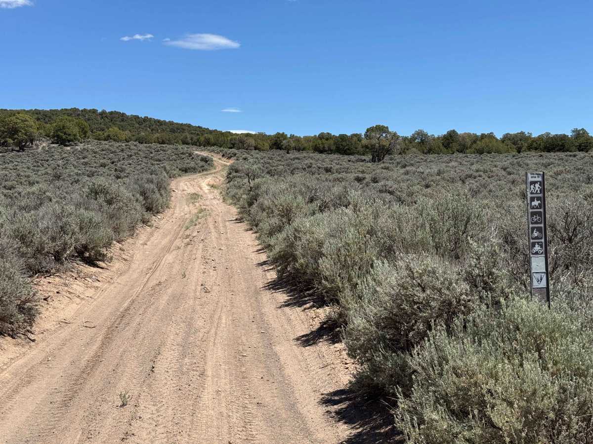 BLM 8472 photo 3