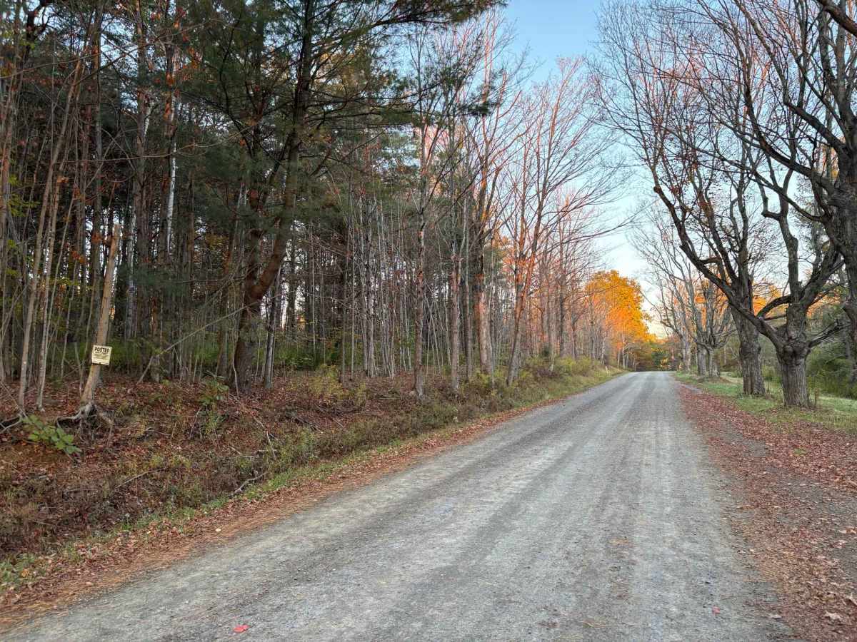 Cook School Road photo 3