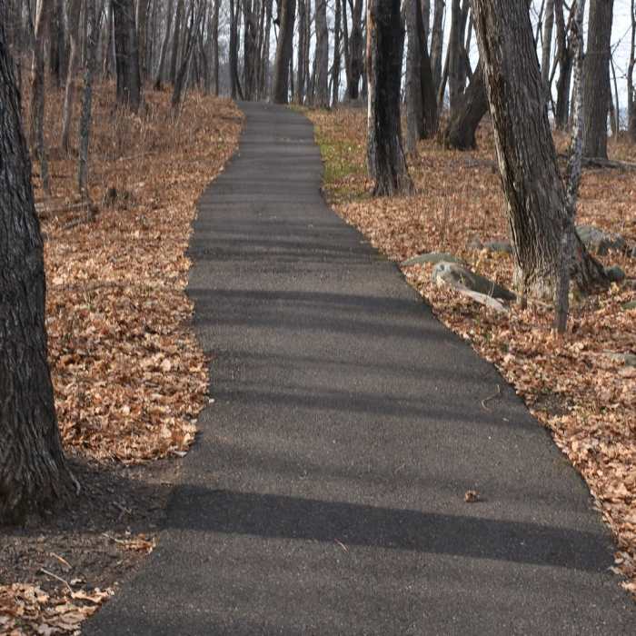 Near Hiking Club Trail