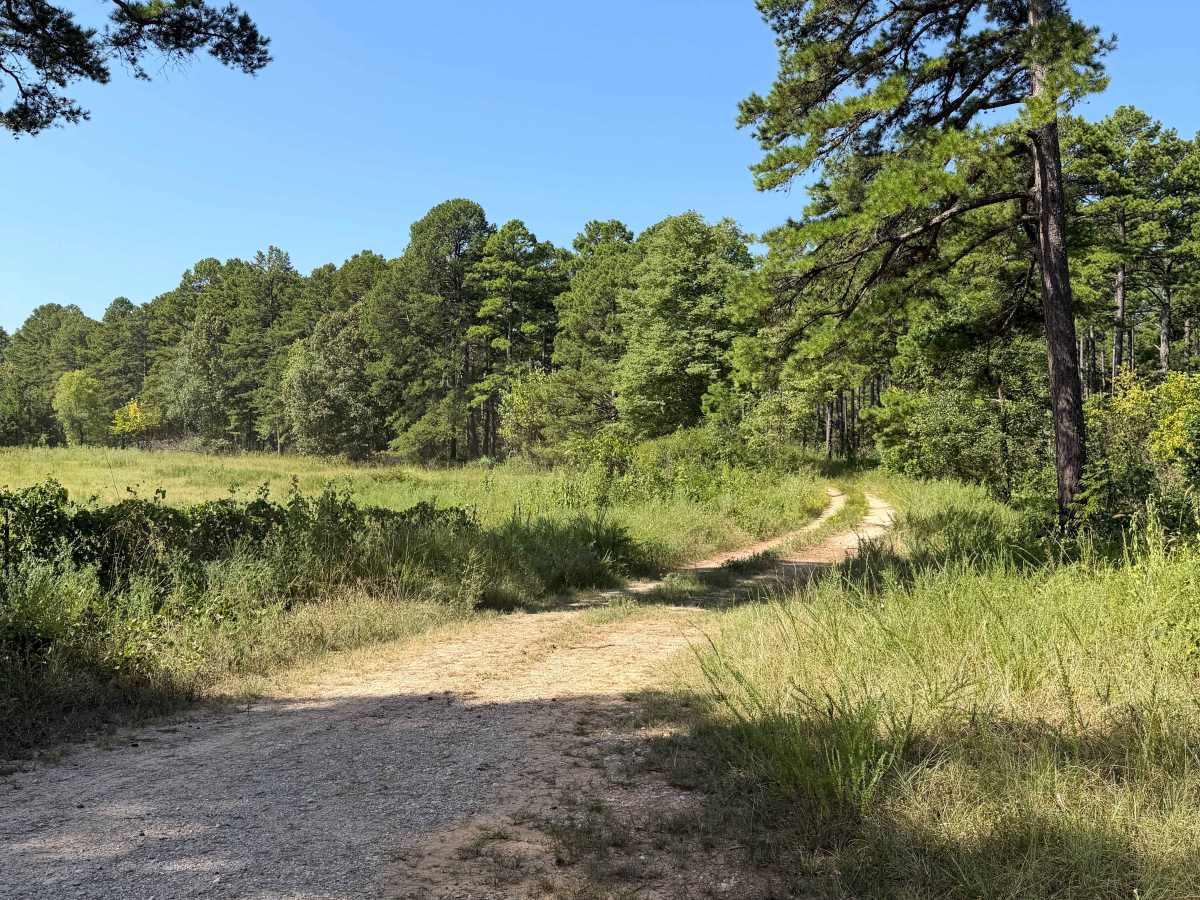 Hornets Run - FS 91089B trail photo