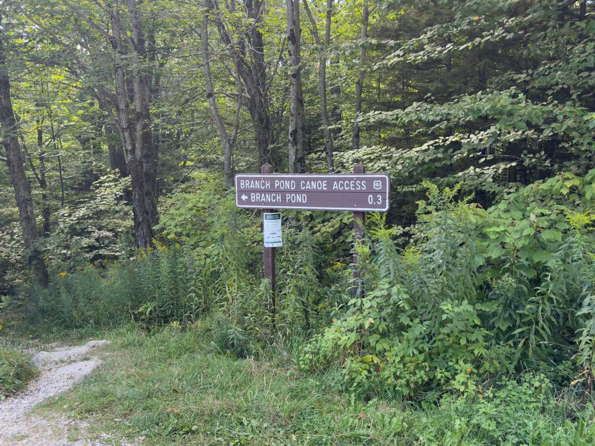 Branch Pond Trail photo 2