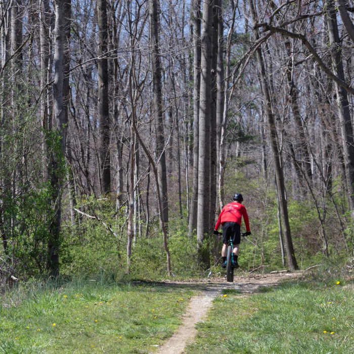 Near Jacobsburg Trail Near Jacobsburg Trail