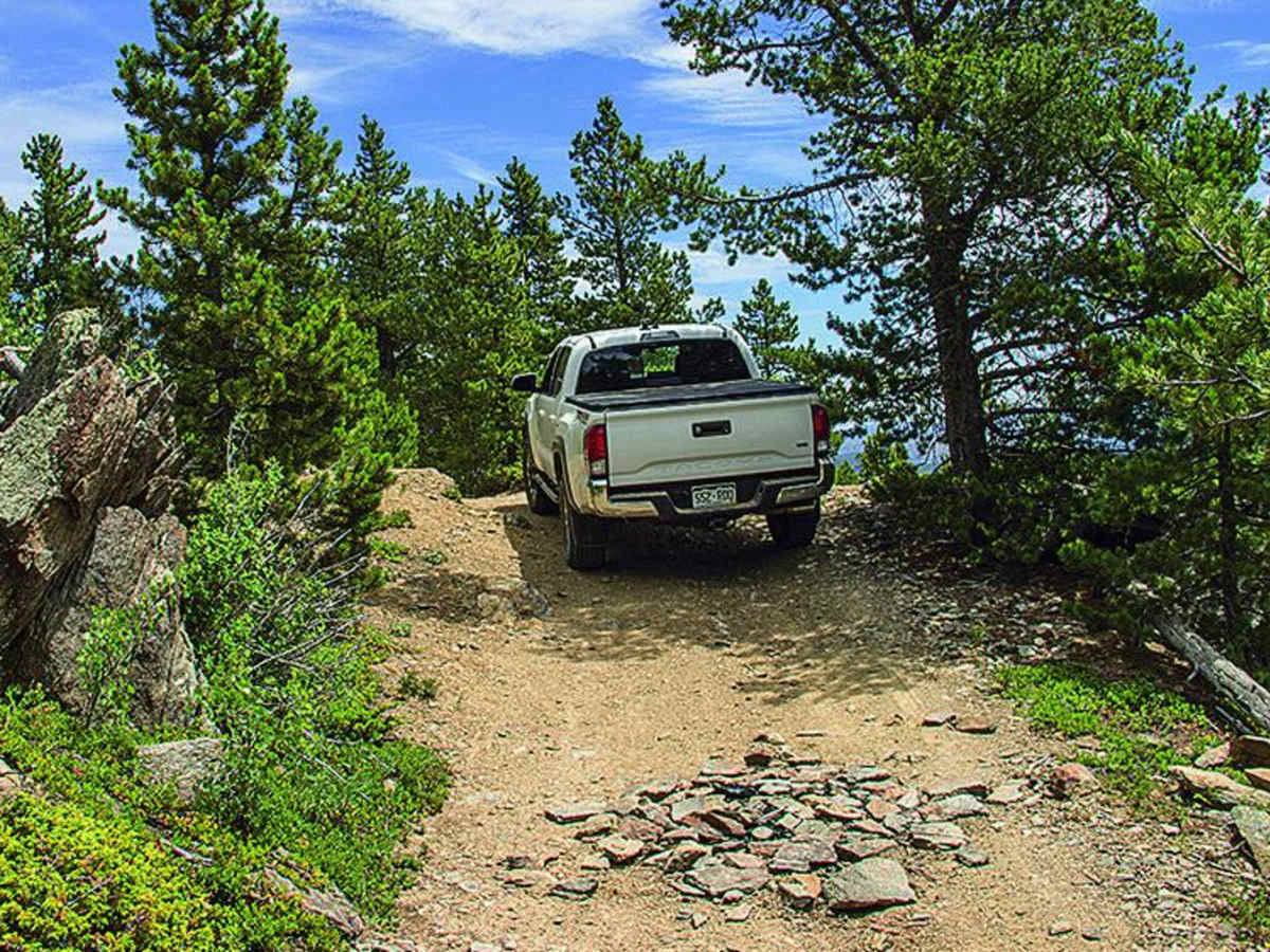 Greer Road trail photo