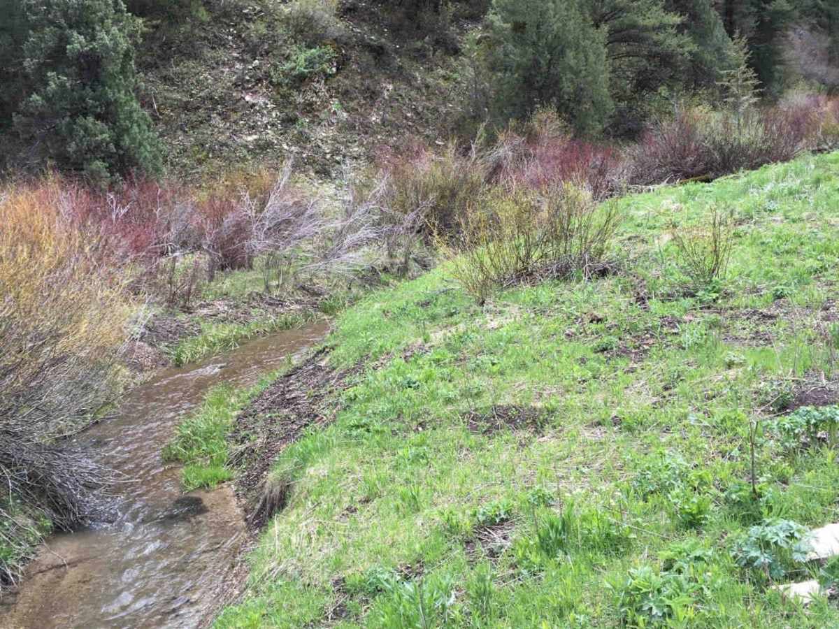 Rash Canyon photo 3