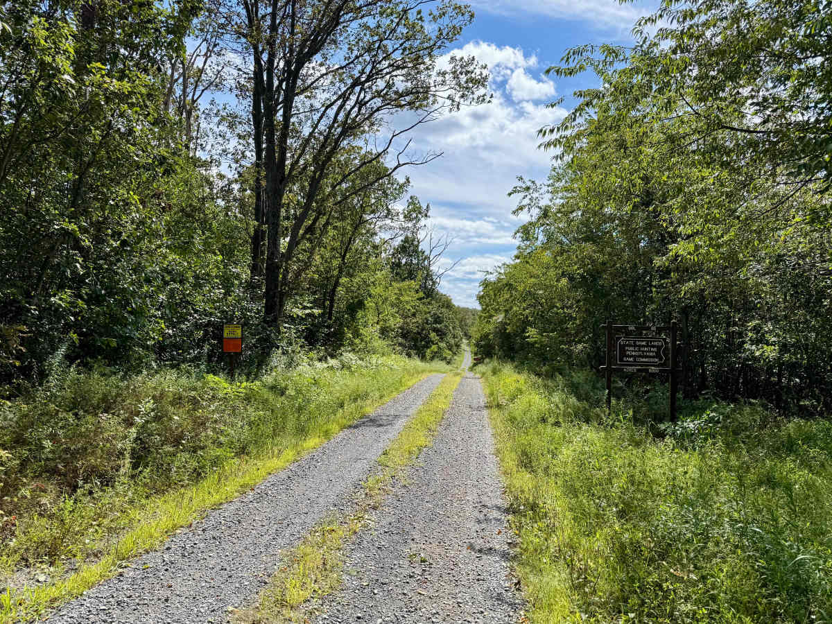 Bark Road photo 3