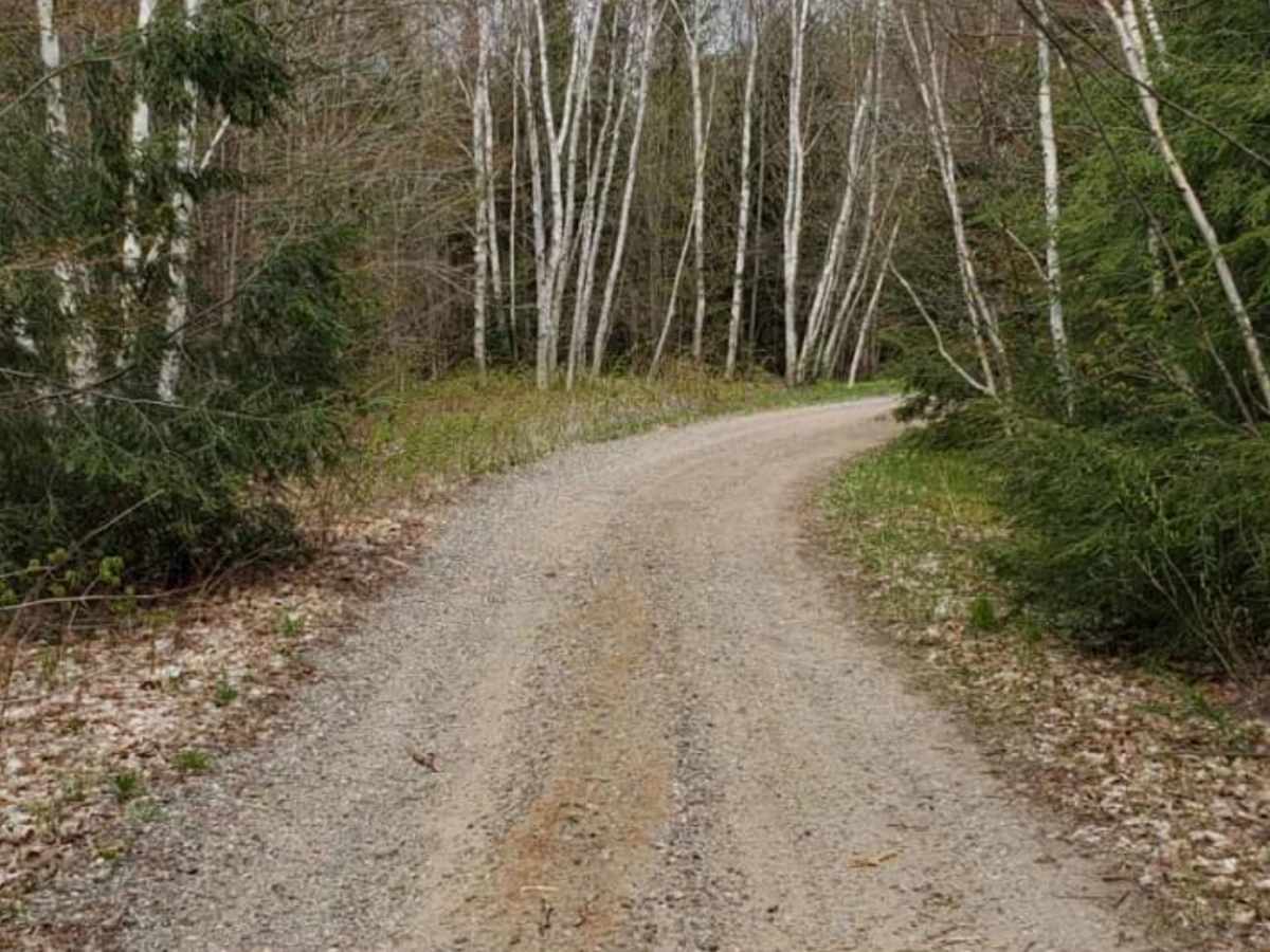 Brady Trail photo 4