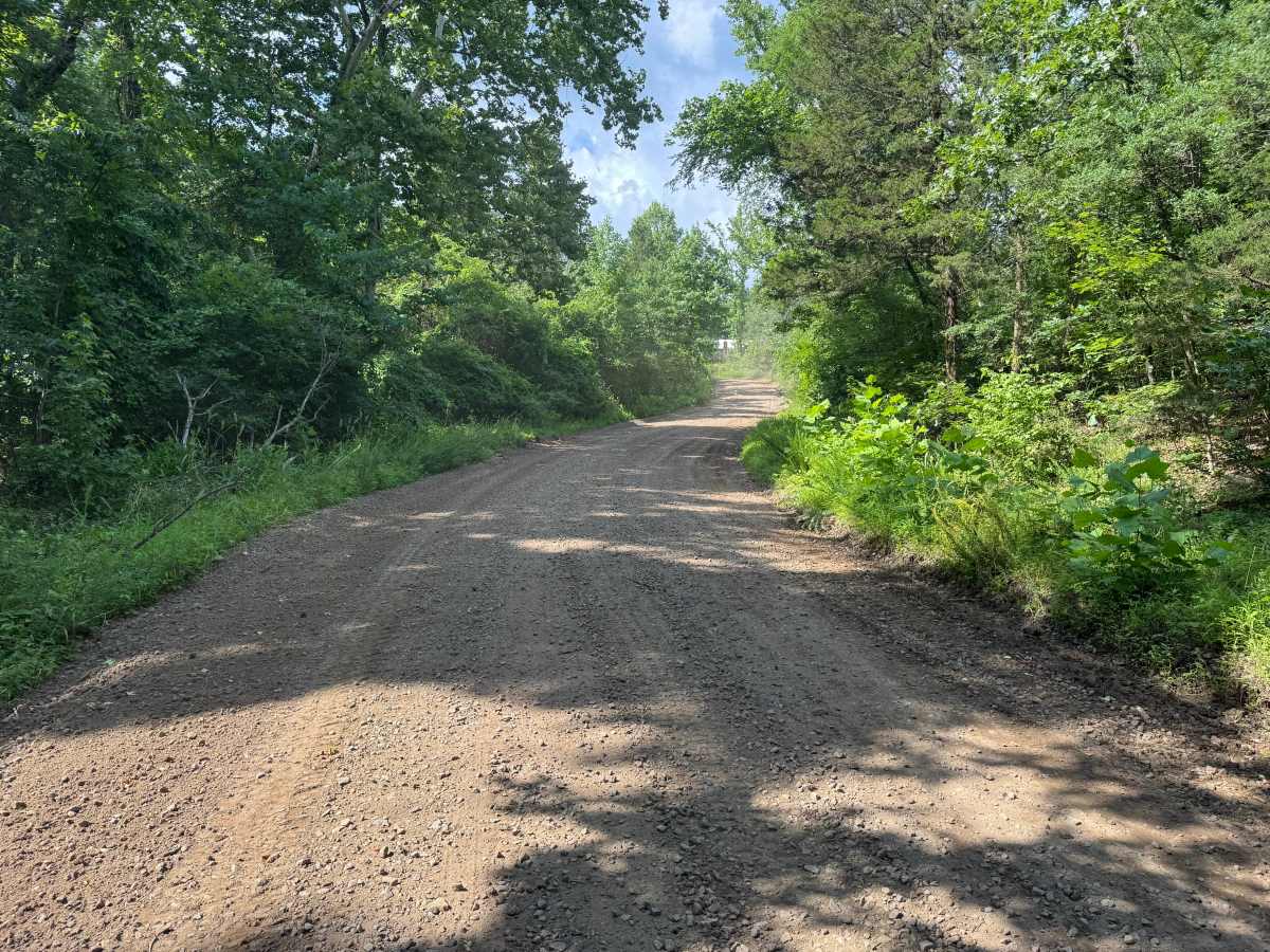 Rushing Road photo 5