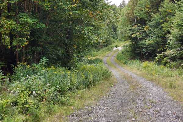 Schoppe Brook Road