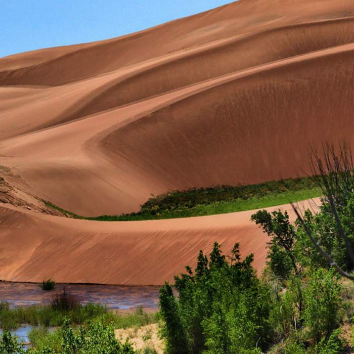Near Sand Ramp Trail