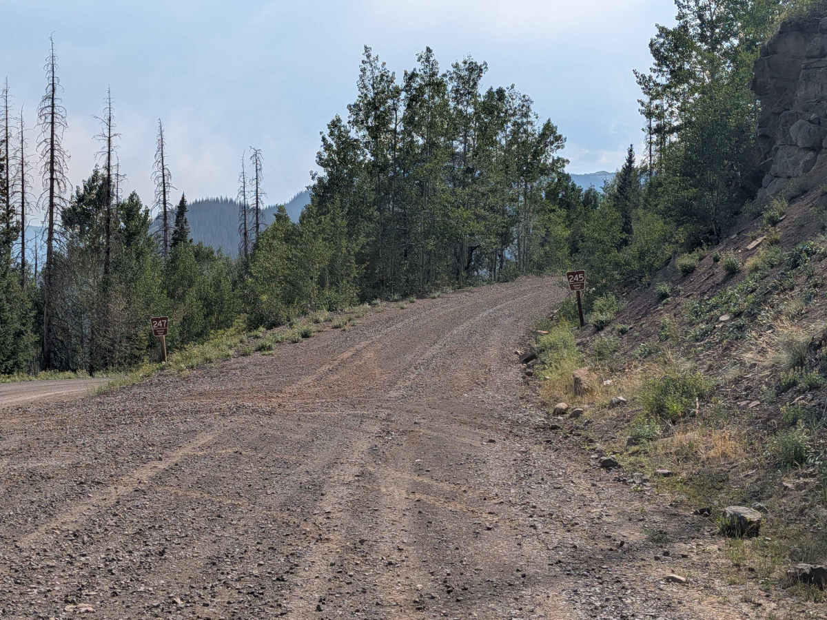 Rito Gato Road - FS 245 trail photo