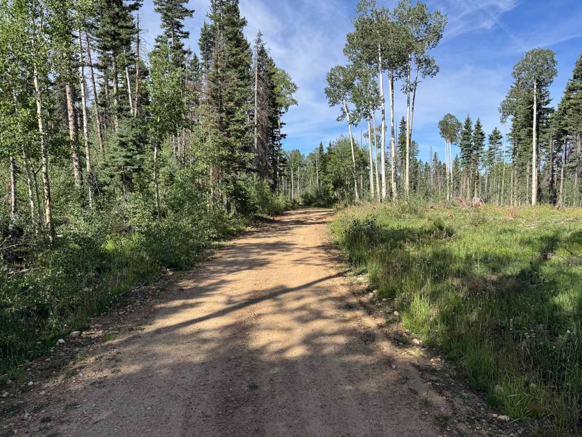 Pipe Creek Road photo 2