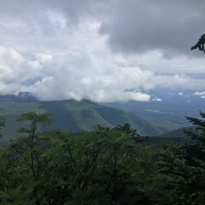 Near Kaaterskill High Peak