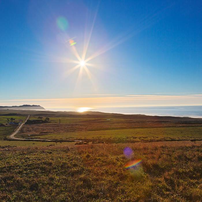 Near Tomales Bay Trail